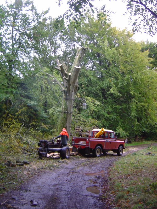4th October 2008 037